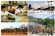 Chỉ đạo, điều hành của Chính phủ, Thủ tướng Chính phủ nổi bật tuần 28/3-1/4